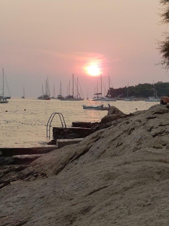 Apartmani Vini Hvar Town Dış mekan fotoğraf